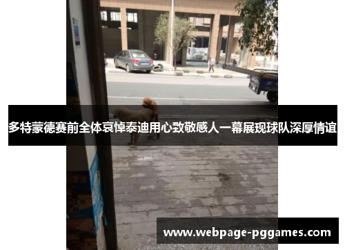 多特蒙德赛前全体哀悼泰迪用心致敬感人一幕展现球队深厚情谊