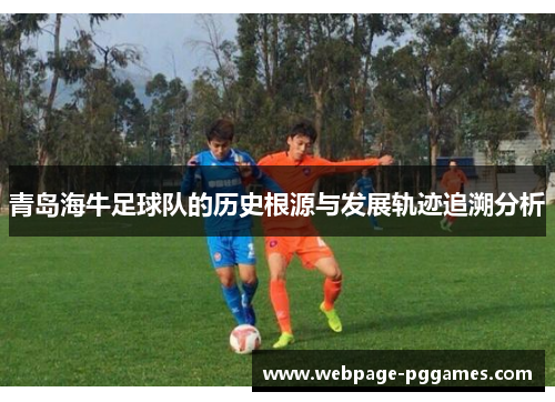 青岛海牛足球队的历史根源与发展轨迹追溯分析 青岛海牛足球队的历史根源与发展轨迹追溯分析