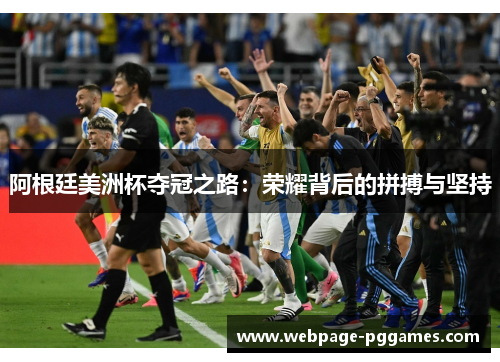 阿根廷美洲杯夺冠之路：荣耀背后的拼搏与坚持